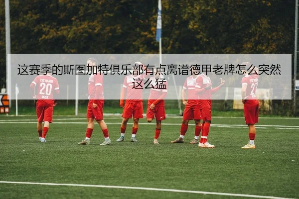 这赛季的斯图加特俱乐部有点离谱德甲老牌怎么突然这么猛
