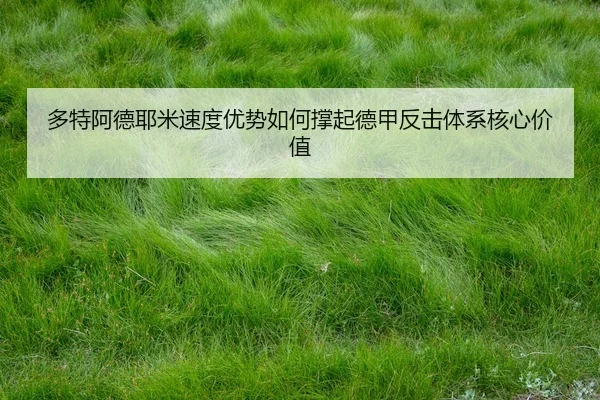 多特阿德耶米速度优势如何撑起德甲反击体系核心价值